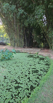 Jardim Botânico Municipal de Bauru
