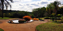 Jardim Botânico Municipal de Bauru