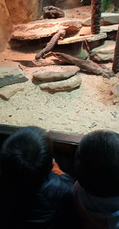 Reptiles House