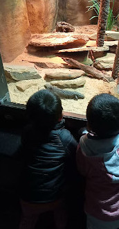 Reptiles House