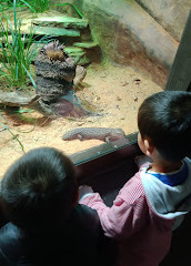 Reptiles House