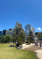 Royal Park Nature Play Playground