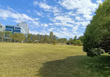 Royal Park Nature Play Playground