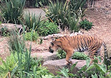 Melbourne Zoo