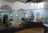 Paläontologisches Institut und Museum der Universität Zürich