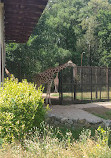 Rada Zoo