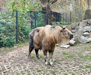 Rada Zoo