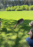 BergTierPark Blindham