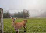 BergTierPark Blindham