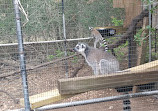 Capital of Texas Zoo