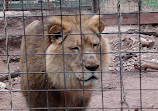 Capital of Texas Zoo