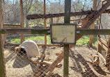 Capital of Texas Zoo