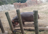 Capital of Texas Zoo