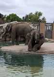 Denver Zoo