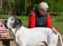 Hondenpark Dielegembos