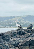 Kiama Lighthouse