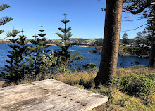 Kiama Harbour-Kabinen