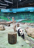 Taipei Zoo