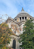 St. Paul's Cathedral