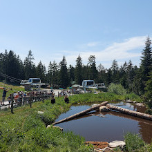 Grizzly Bear Habitat