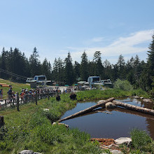 Grizzly Bear Habitat