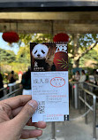 پارک حیوانات وحشی شانگهای