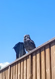 Animal Park of Courzieu