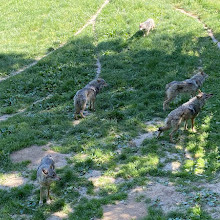 Animal Park of Courzieu