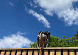 Animal Park of Courzieu