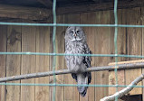 Animal Park of Courzieu