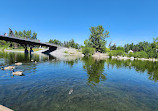 Ponte della pace