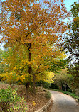 The Jerusalem Botanical Gardens