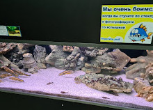 Аквариум Минского Зоопарка