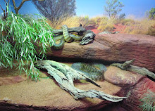 Reptile House