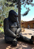 Perth Zoo