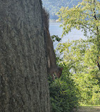 Fort Tryon Park