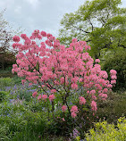 Fort Tryon Park