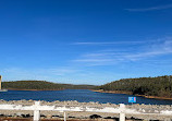 Serpentine Main Dam