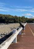 Serpentine Main Dam