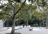 Cooper Skate Park