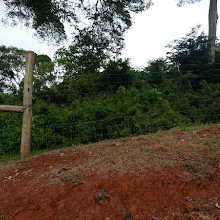 Mount Kenya National Park