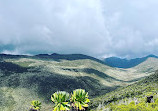 Mount Kenya National Park