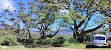 Mount Kenya National Park