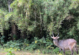 Mount Kenya National Park