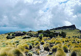 Mount Kenya National Park