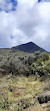 Mount Kenya National Park