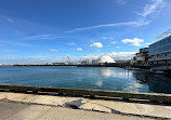 Boston Fish Pier