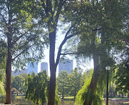 Public Garden