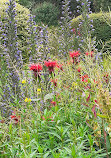 Corstorphine Hill Walled Garden