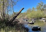 Avocado Lake